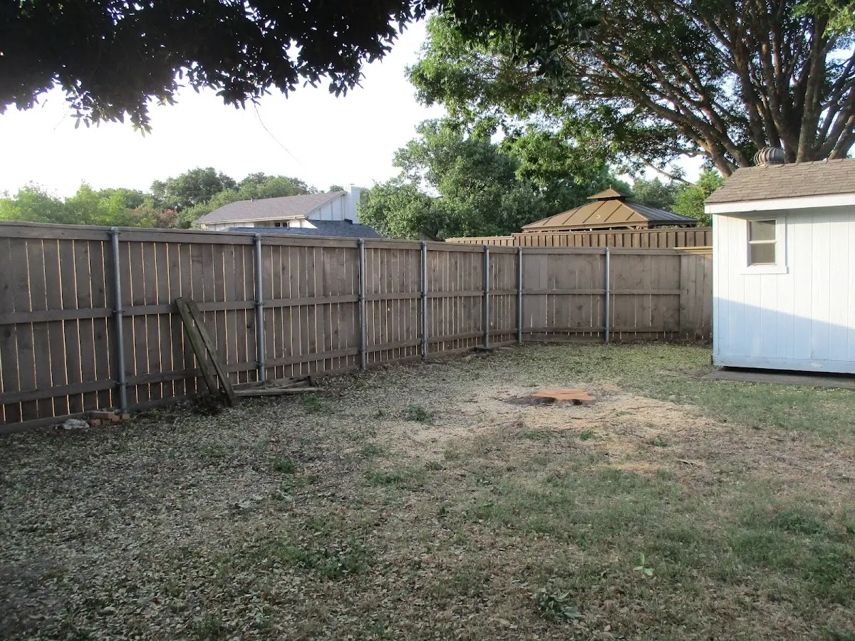 Cleared yard after professional tree removal in East Walpole